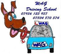 Wag Driving School 638806 Image 0